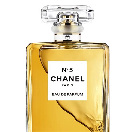 canel perfume|chanel perfume no 5.